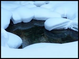 P1020330